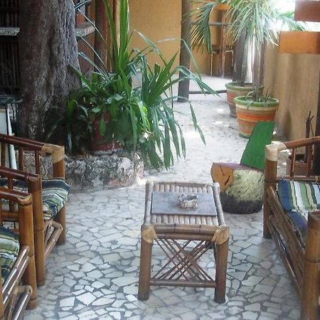 Mayan Hostel كانكون المظهر الخارجي الصورة