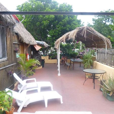 Mayan Hostel كانكون المظهر الخارجي الصورة
