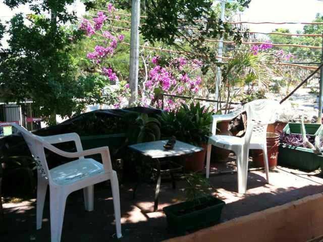 Mayan Hostel كانكون المظهر الخارجي الصورة