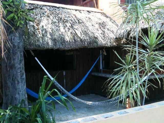 Mayan Hostel كانكون المظهر الخارجي الصورة