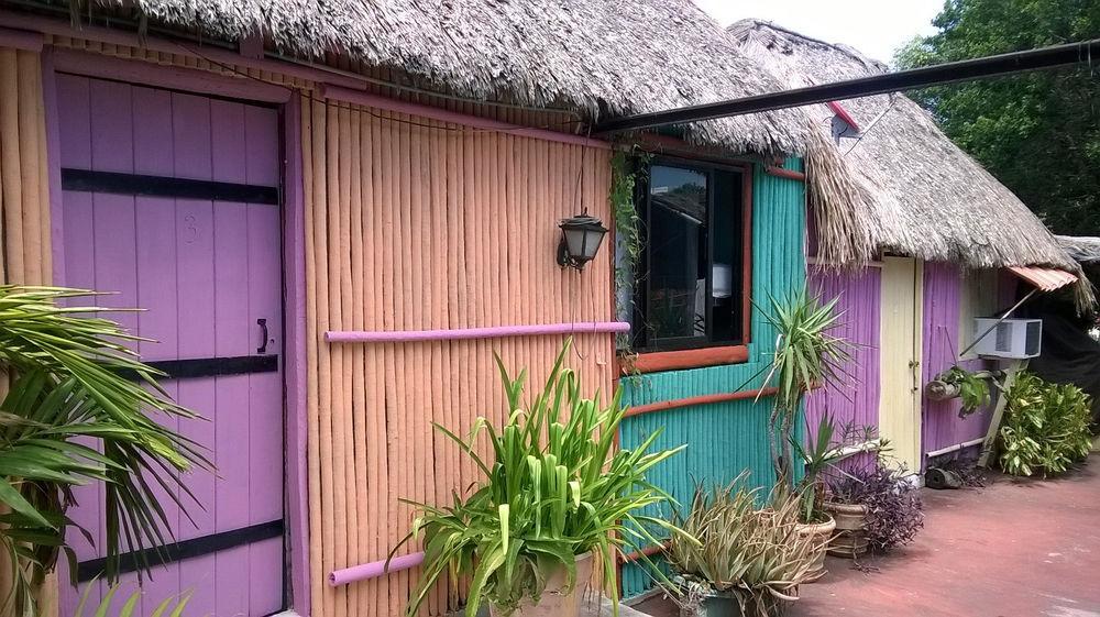 Mayan Hostel كانكون المظهر الخارجي الصورة