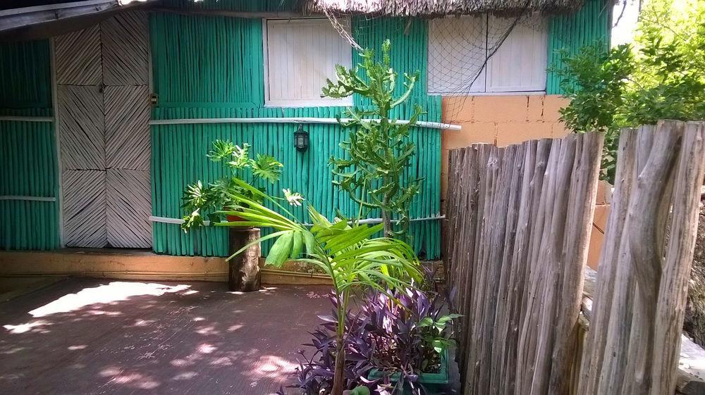 Mayan Hostel كانكون المظهر الخارجي الصورة