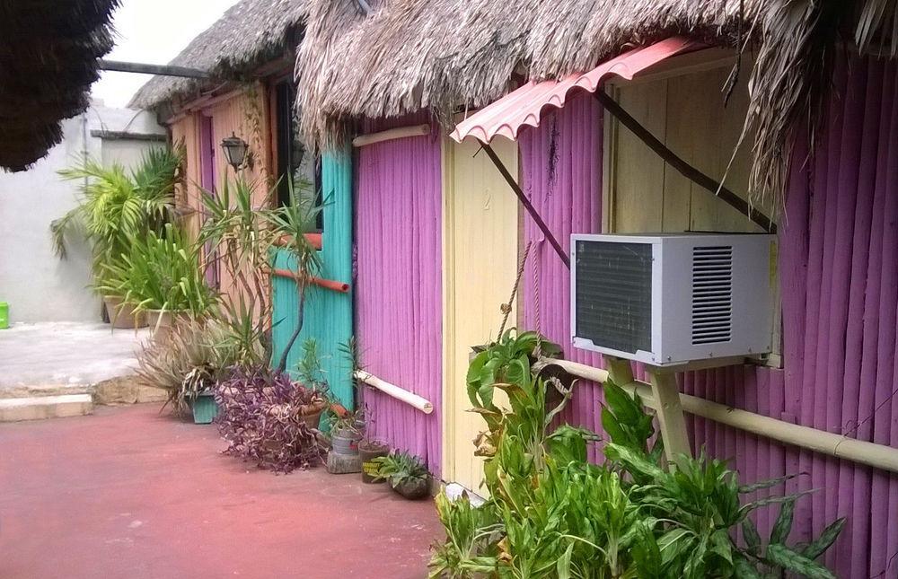 Mayan Hostel كانكون المظهر الخارجي الصورة