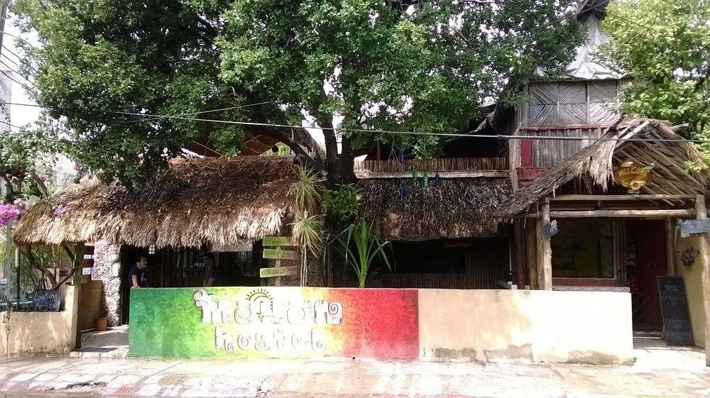 Mayan Hostel كانكون المظهر الخارجي الصورة