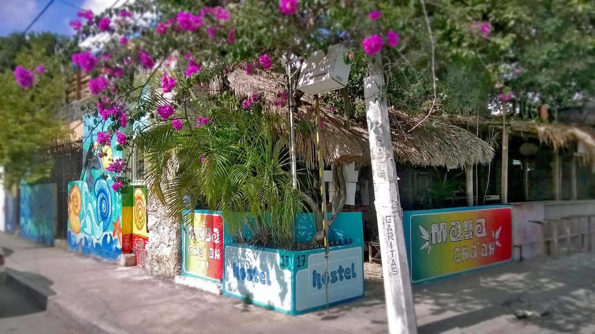Mayan Hostel كانكون المظهر الخارجي الصورة